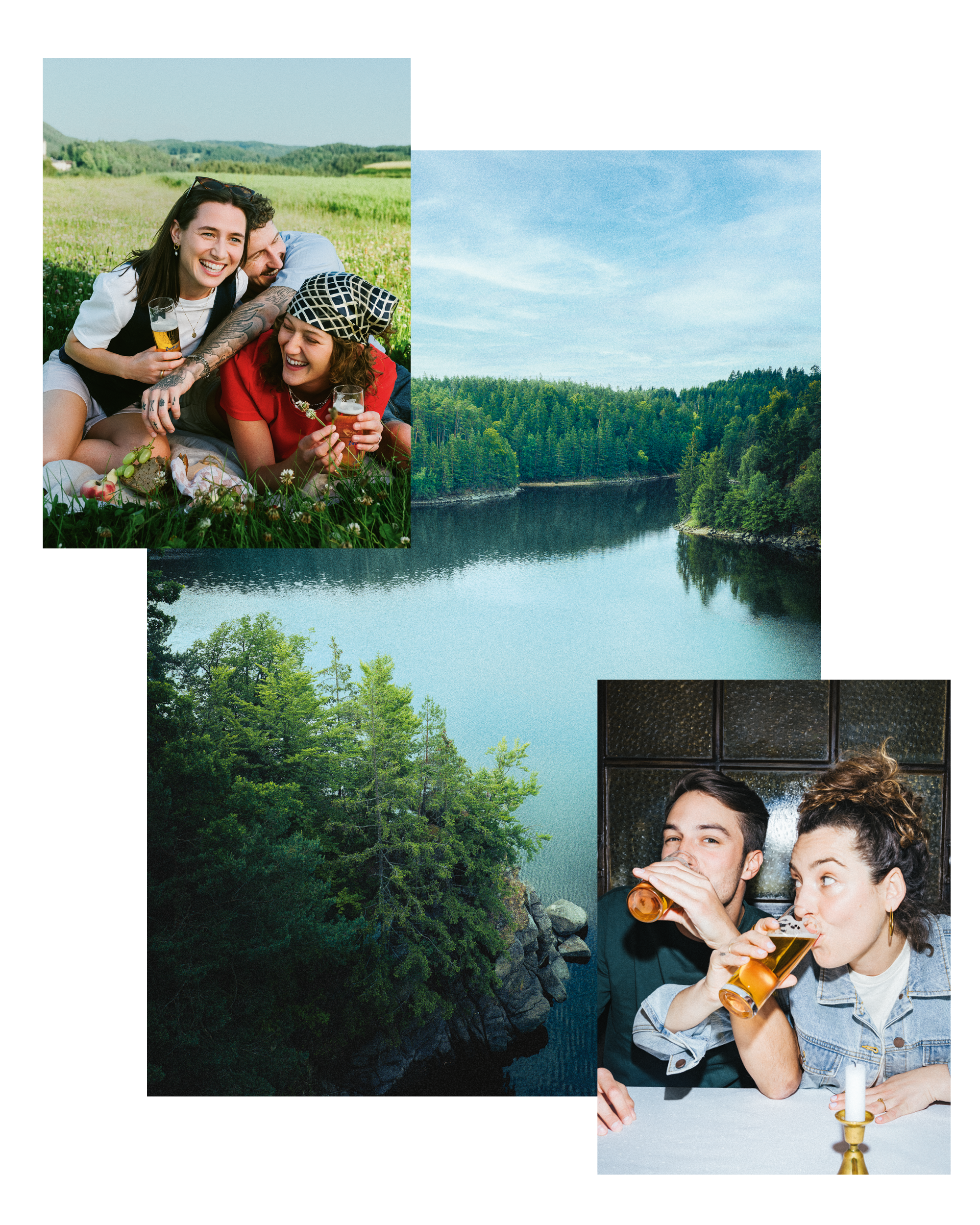 Zwettler_Collage